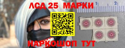 тгк Канаш