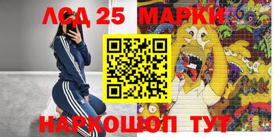 тгк Канаш