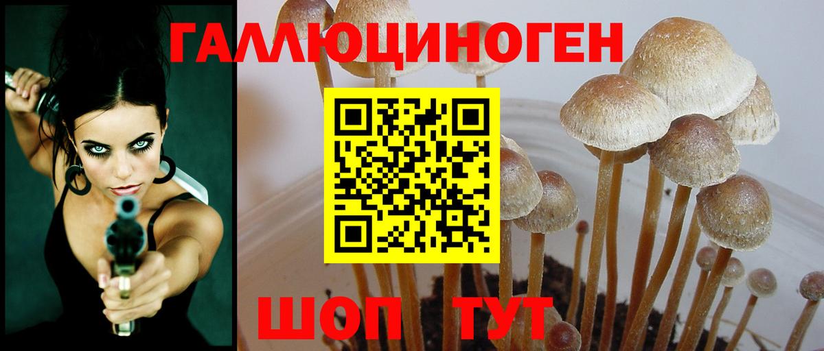 Владикавказ  Псилоцибиновые грибы Magic Shrooms  Вход с VPN 